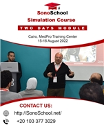 Simulation Course Two Days Module
